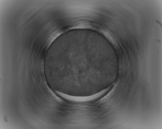 X0000097471329200803071645
