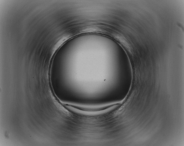 X0000097471330200803071645