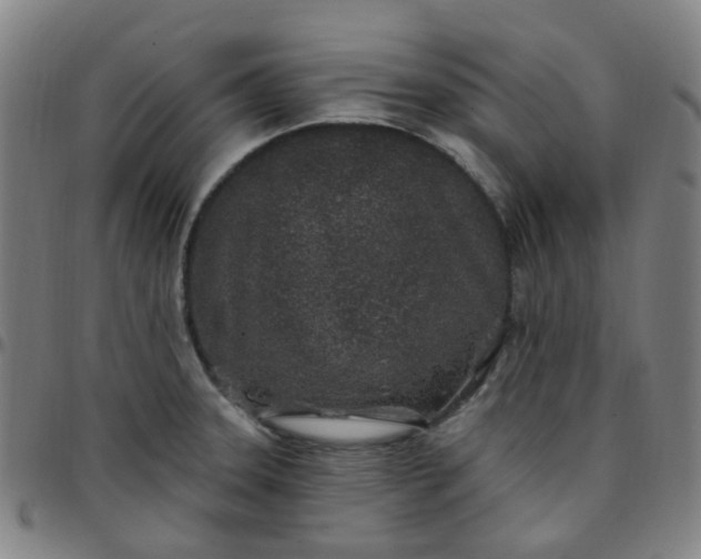 X0000097471331200803071645