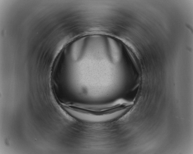 X0000097471333200803071645