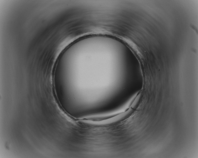 X0000097471335200803071645