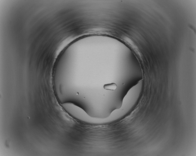 X0000097471336200803071645