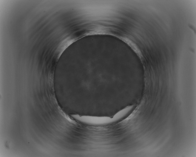 X0000097471337200803071645