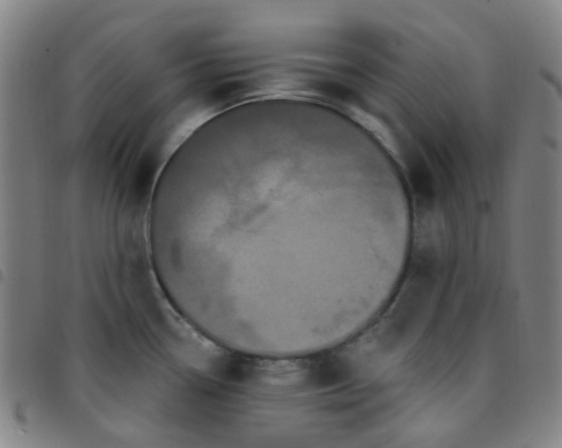 X0000097471338200803071645