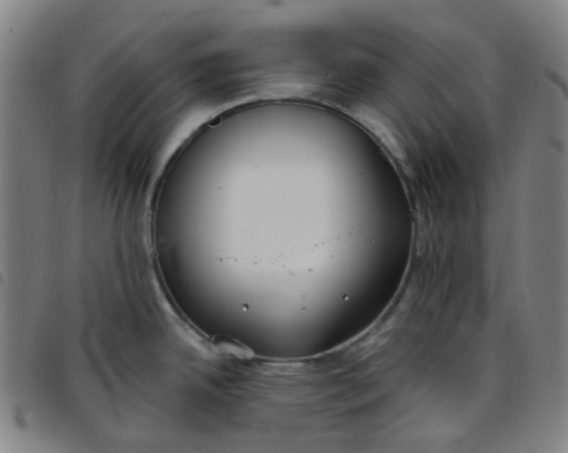 X0000097471342200803071645
