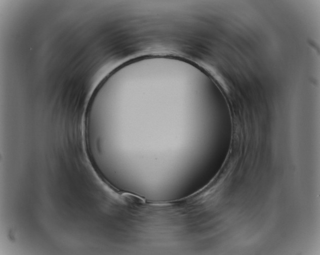 X0000097471343200803071645