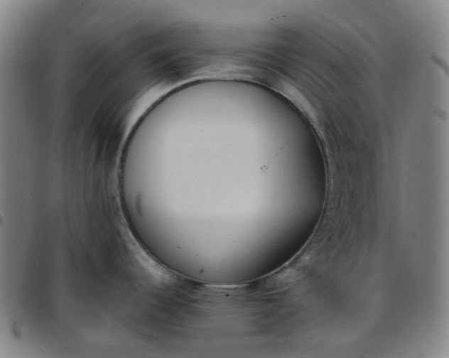 X0000097471344200803071645