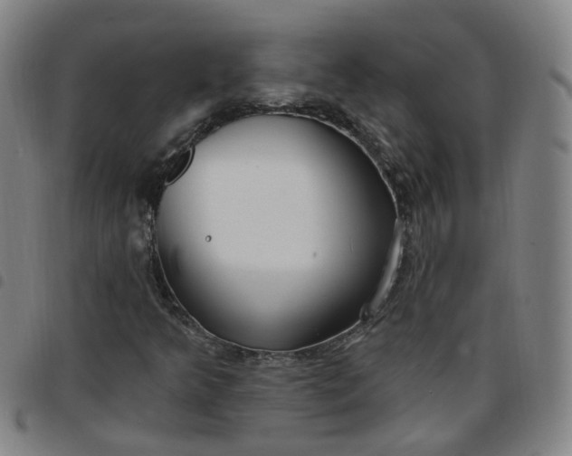 X0000097471349200803071644
