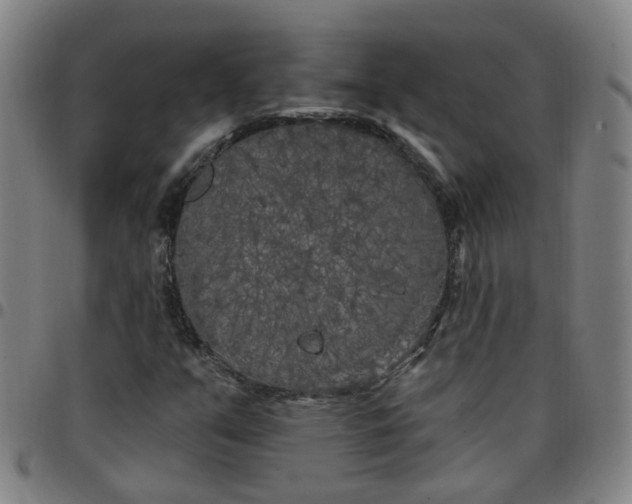 X0000097471351200803071644