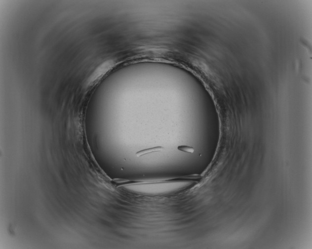 X0000097471354200803071644