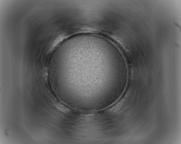X0000097471355200803071644