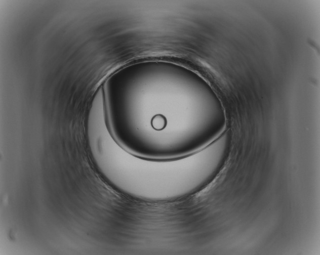 X0000097471361200803071644