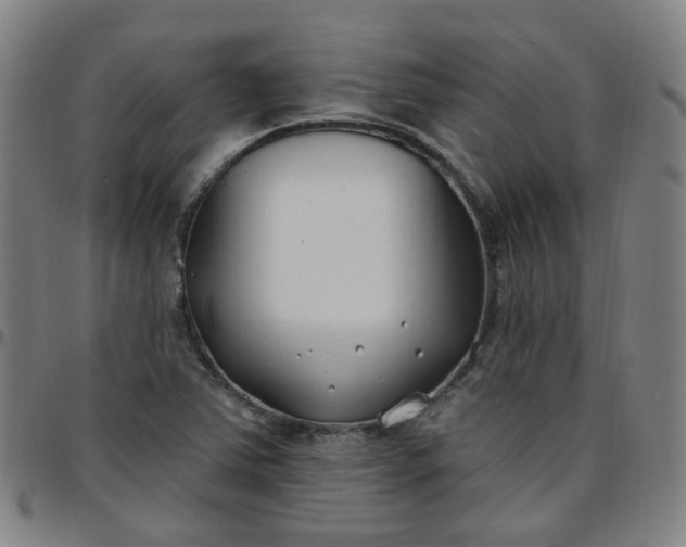 X0000097471363200803071644
