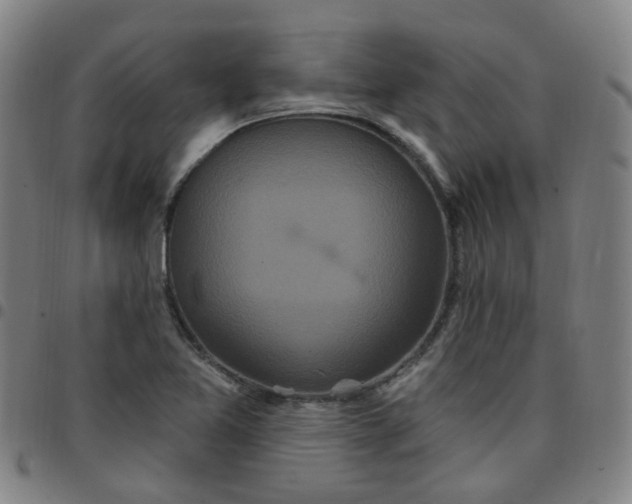 X0000097471365200803071644