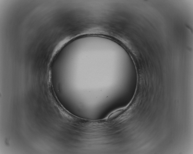 X0000097471366200803071644