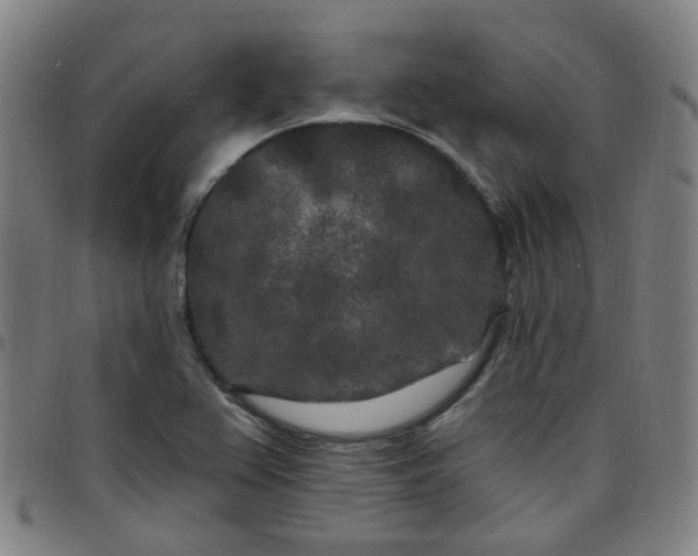 X0000097471367200803071644