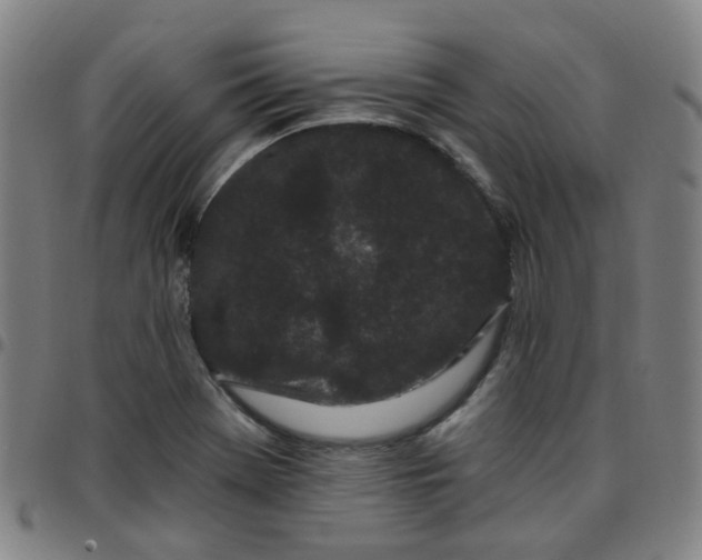 X0000097471369200803071644