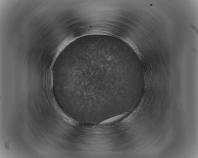 X0000097471371200803071644