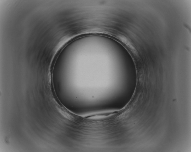 X0000097471372200803071644