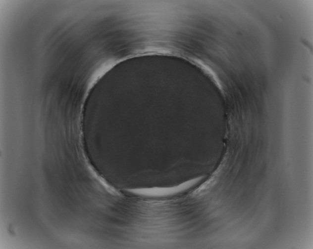 X0000097471373200803071644