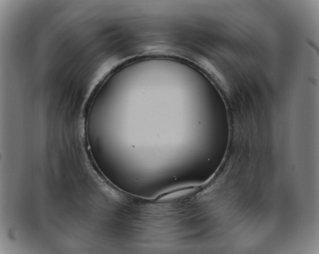 X0000097471376200803071644