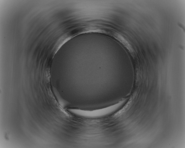 X0000097471377200803071644