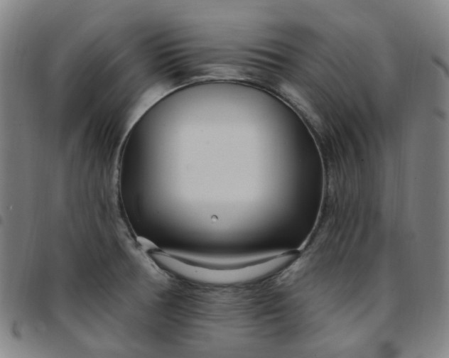 X0000097471378200803071644