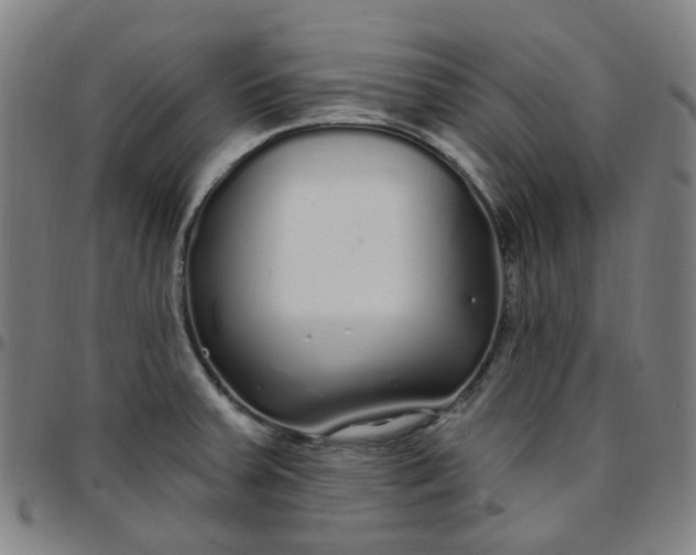 X0000097471379200803071644