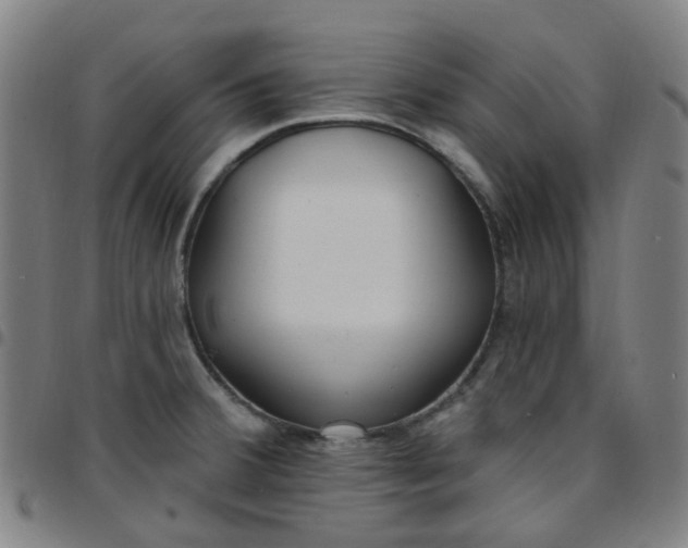 X0000097471380200803071644