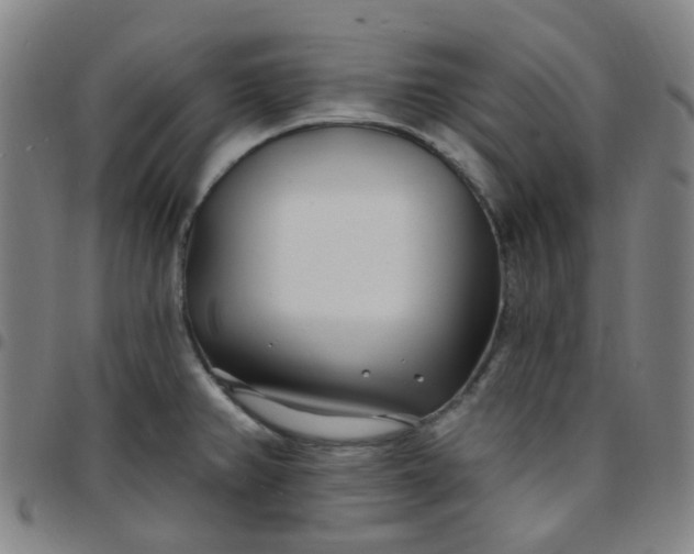 X0000097471382200803071644