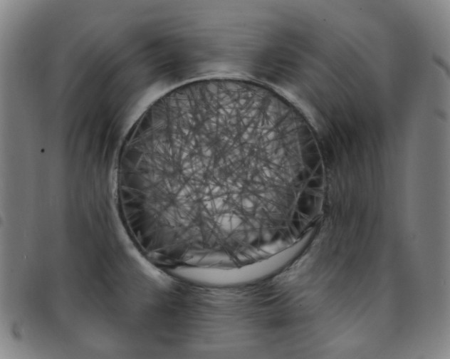 X0000097471383200803071644