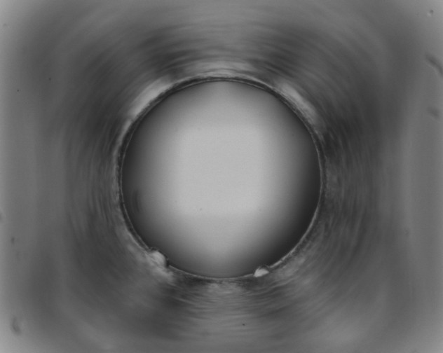 X0000097471384200803071644
