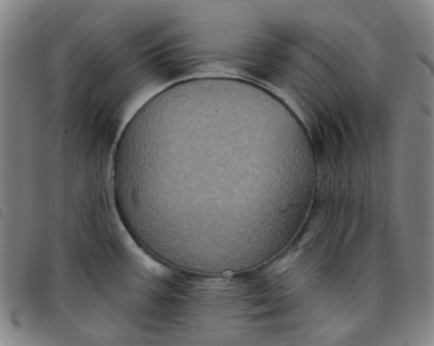 X0000097471387200803071644