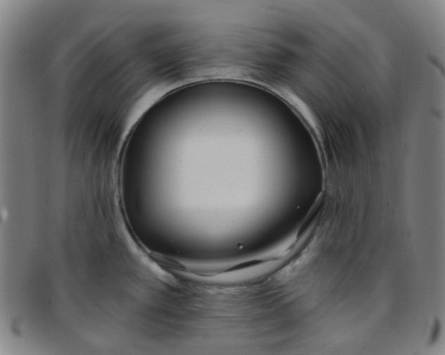 X0000097471389200803071644