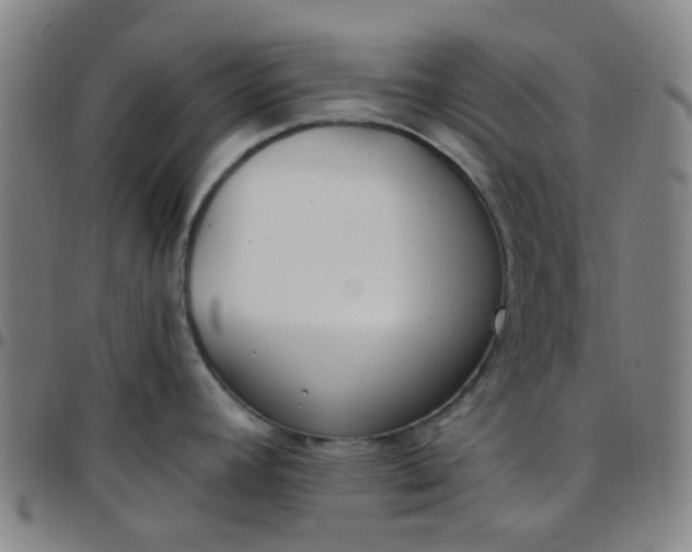 X0000097471392200803071643