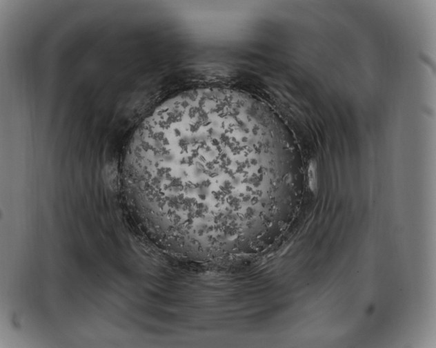 X0000097471395200803071643