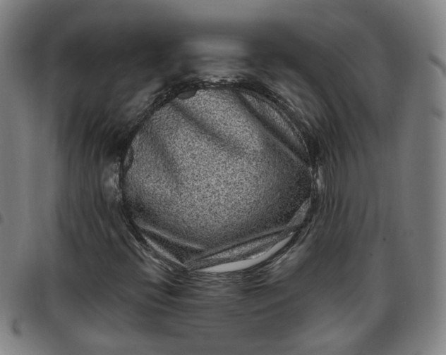 X0000097471396200803071643