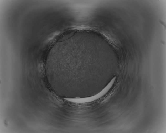 X0000097471398200803071643