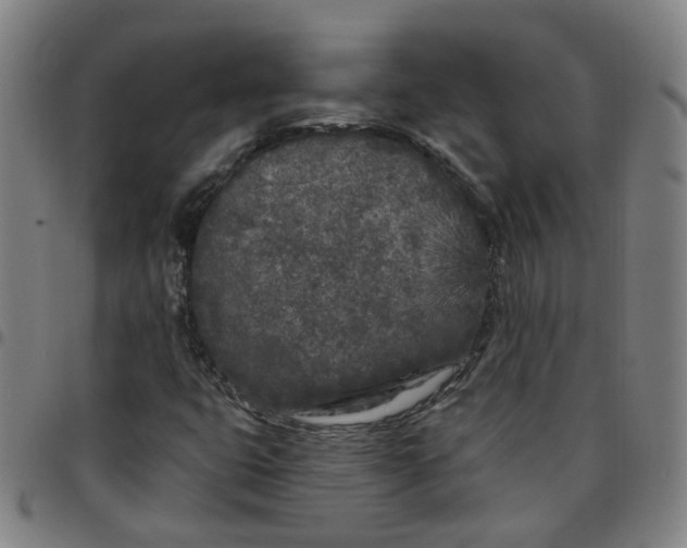 X0000097471399200803071643