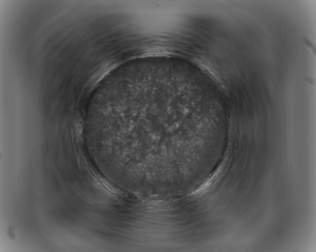 X0000097471401200803071643