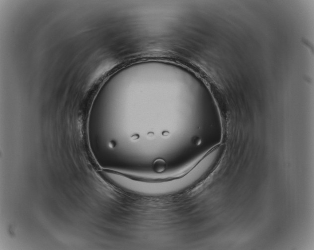 X0000097471402200803071643