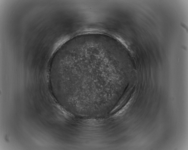 X0000097471405200803071643