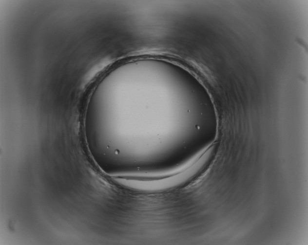 X0000097471406200803071643