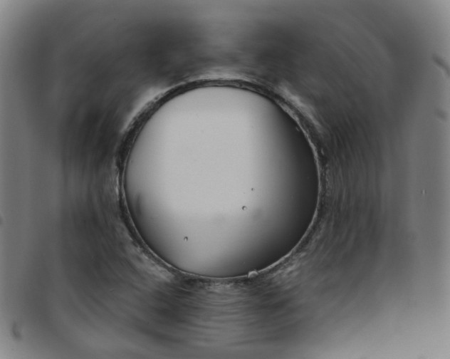 X0000097471408200803071643