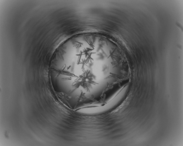 X0000097471409200803071643