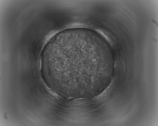 X0000097471413200803071643