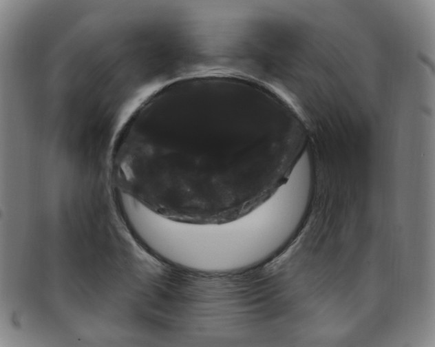 X0000097471414200803071643