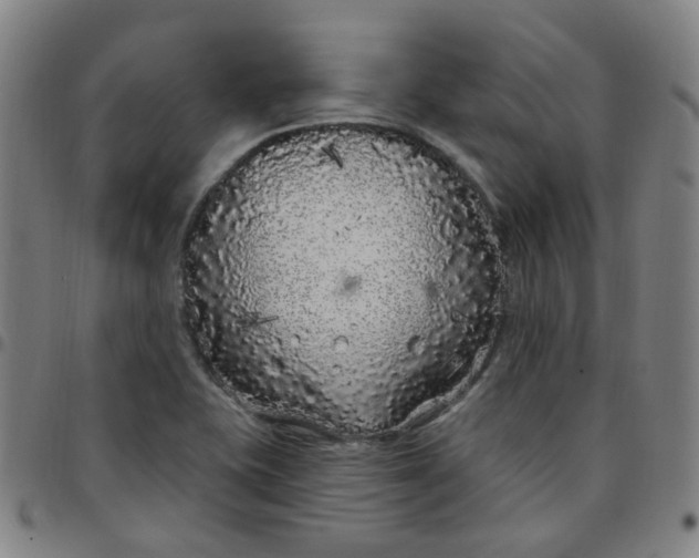 X0000097471415200803071643