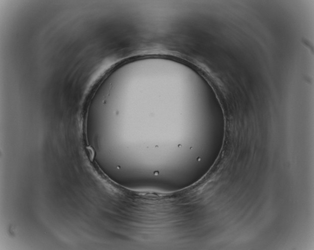 X0000097471416200803071643