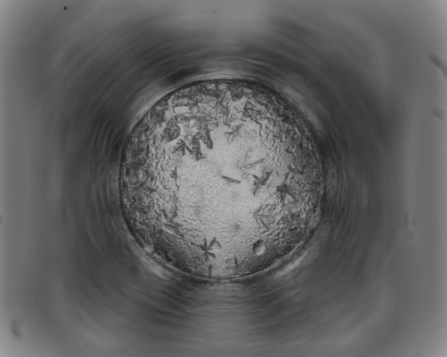 X0000097471417200803071643